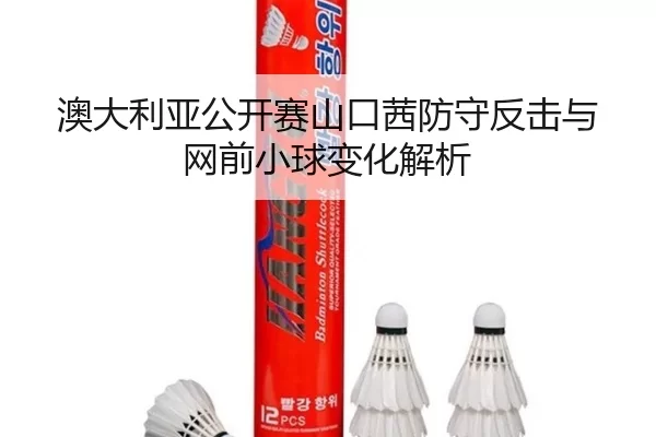 澳大利亚公开赛山口茜防守反击与网前小球变化解析